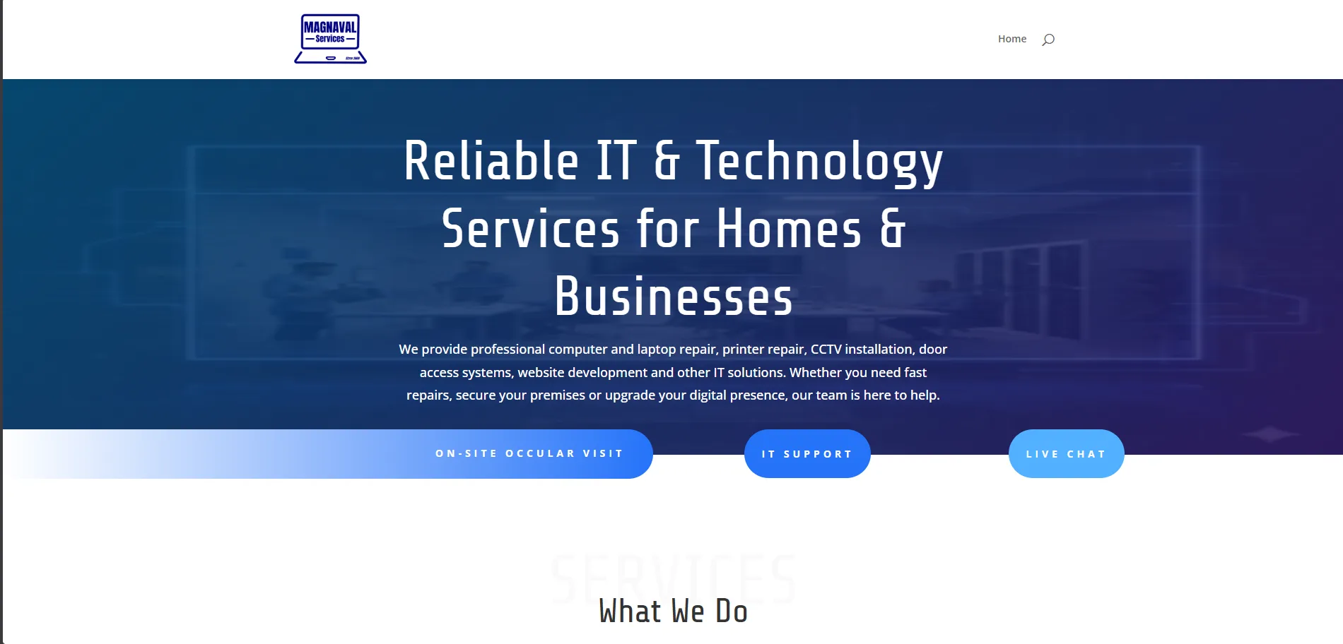 Magnaval Services website showing the company service presentation